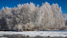 沖乎爾：&ldquo;雪樹(shù)銀花&rdquo;童話(huà)鎮(zhèn)