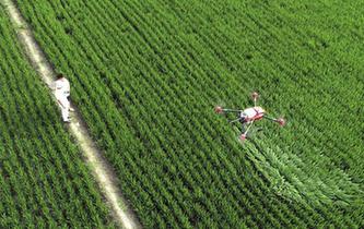 江蘇海安：&ldquo;智慧農業(yè)&rdquo;促鄉(xiāng)村振興