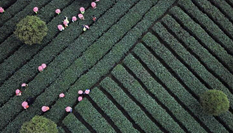 &ldquo;三言兩語&rdquo;背后的貴州之變