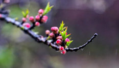 隨心而行，走走停停始終精彩。