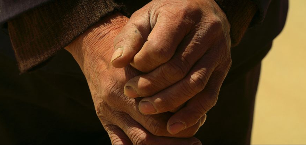 正式發(fā)布！《攜手，為人民》中國共產(chǎn)黨與世界政黨領(lǐng)導(dǎo)人峰會暖場片