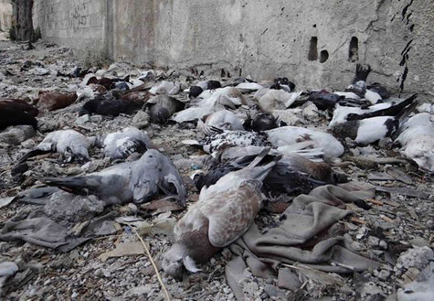 西方擂響對敘動(dòng)武戰(zhàn)鼓 美媒披露具體攻擊時(shí)間