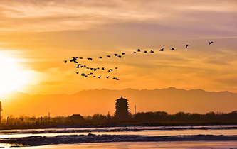 你想看的風(fēng)景，這里都有