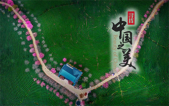 江山如畫，想把春的故事講給你聽